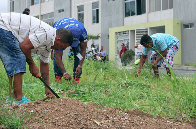 Primera minga comunitaria para la construcción de comunidad en el ...